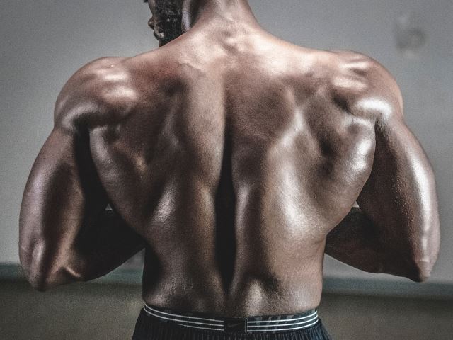 bodybuilder back